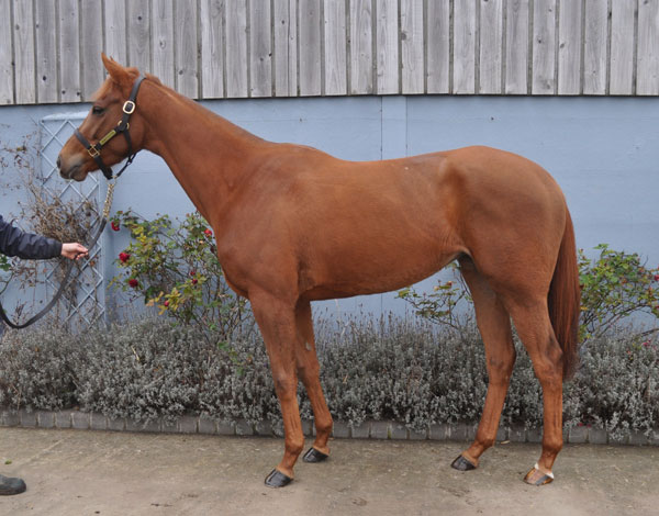 lot 1728